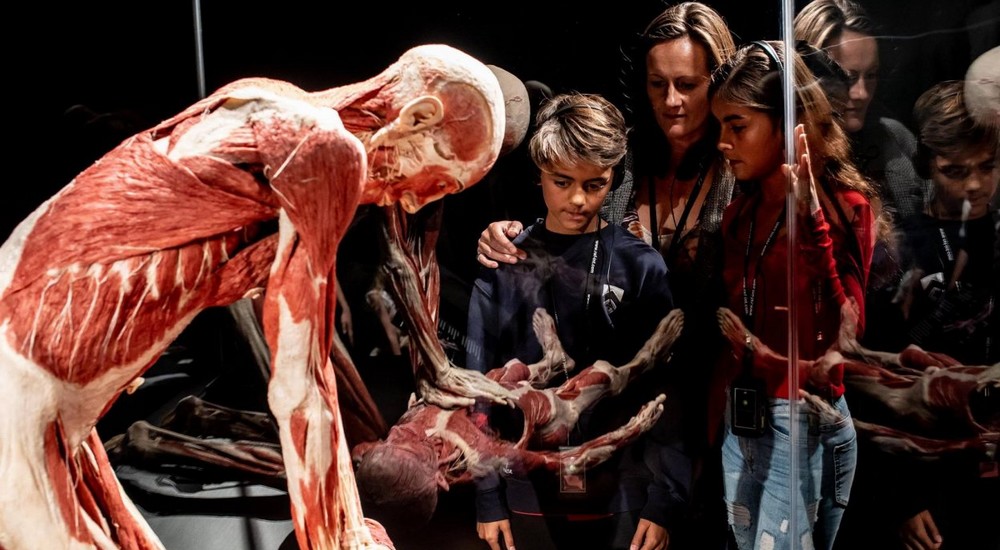 Exhibition Body Worlds - Audioguide OP6 and FreeSound for museums